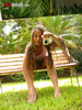 view full image