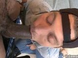 hot gay stud loves swallowing castros monster cock