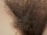 Hairy and horny