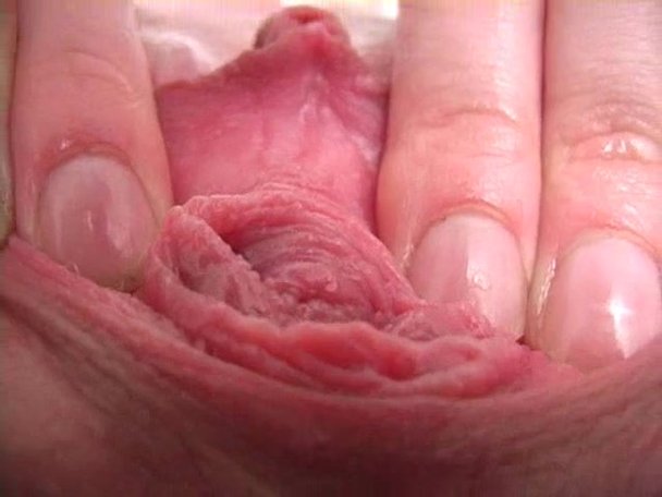 apologise, japanese chubby milf facesitting topic, very
