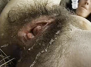 Hairy ass muff