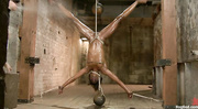 Small-titted ebony bitch in long socks gets her ass hooked and pussy fisted when bound and suspended upside-down