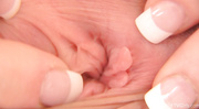 21 yo Megan Loxx nipple stretching